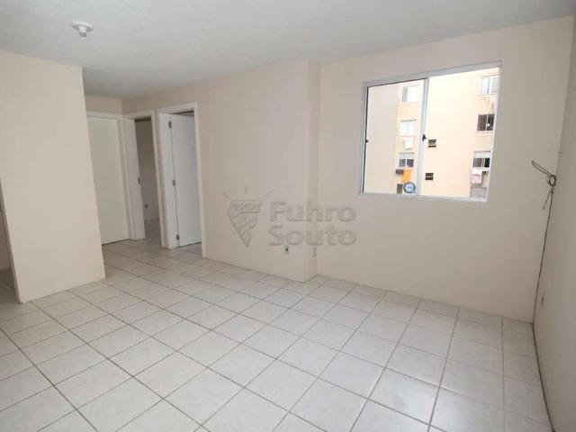 Apartamento aluguel em Pelotas, Fragata