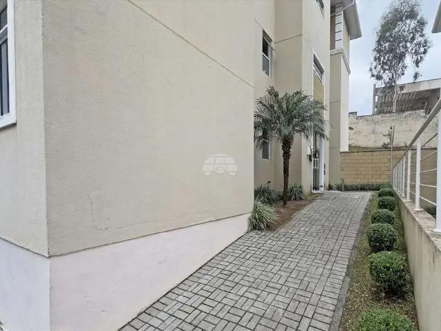 Apartamento aluguel em Região Geográfica Imediata de Curitiba, Região Metropolitana de Curitiba