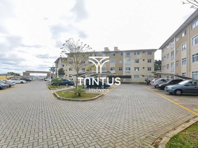 Apartamento aluguel em Jardim Amélia, Pinhais