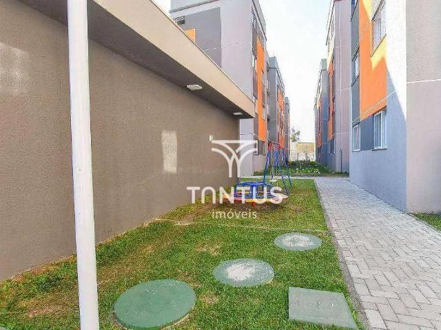 Apartamento aluguel em Região Geográfica Imediata de Curitiba, Região Metropolitana de Curitiba