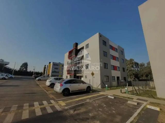 Apartamento aluguel em Região Geográfica Imediata de Ponta Grossa, Ponta Grossa