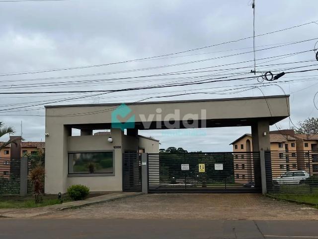 Apartamento aluguel em Colônia Dona Luiza, Ponta Grossa