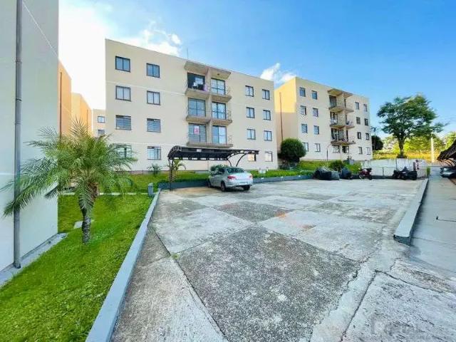 Apartamento aluguel em Região Geográfica Imediata de Ponta Grossa, Ponta Grossa