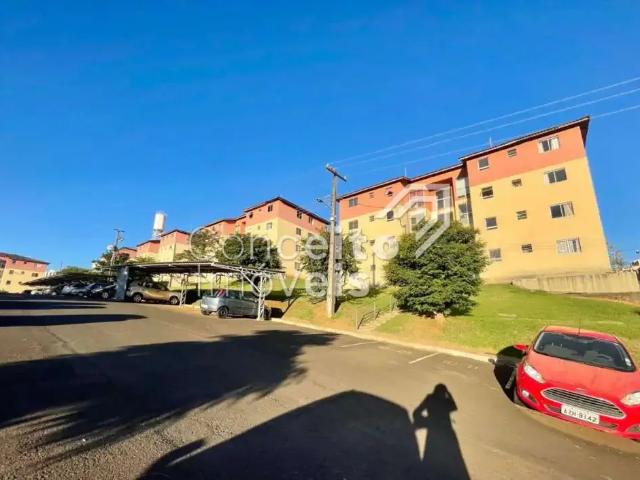 Apartamento aluguel em Região Geográfica Imediata de Ponta Grossa, Ponta Grossa