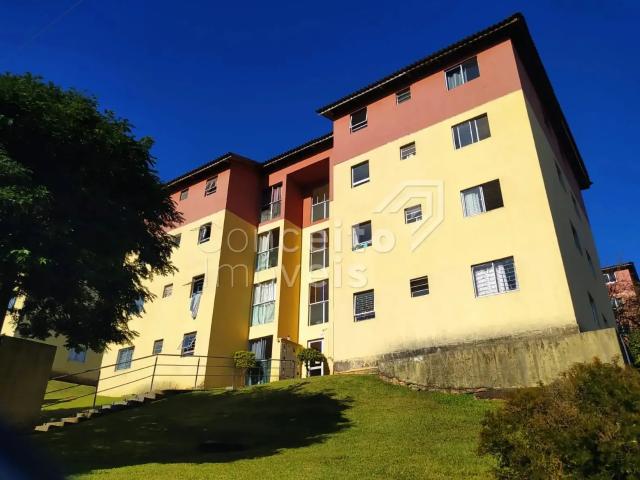 Apartamento aluguel em Região Geográfica Imediata de Ponta Grossa, Ponta Grossa