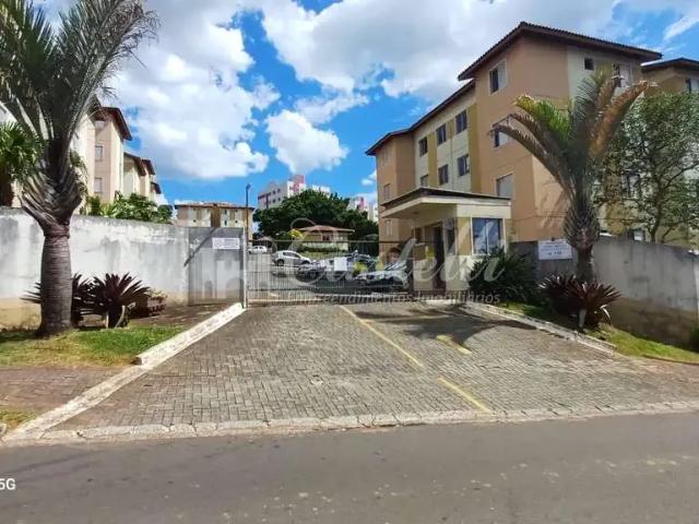Apartamento aluguel em Região Geográfica Imediata de Ponta Grossa, Ponta Grossa