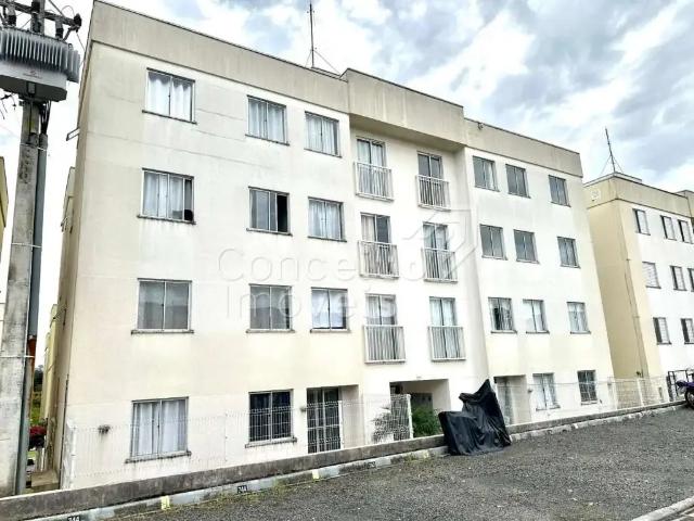 Apartamento aluguel em Região Geográfica Imediata de Ponta Grossa, Ponta Grossa