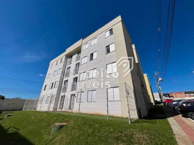 Apartamento aluguel em Região Geográfica Imediata de Ponta Grossa, Ponta Grossa
