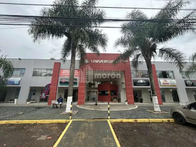 Apartamento aluguel em Região Geográfica Imediata de Ponta Grossa, Ponta Grossa