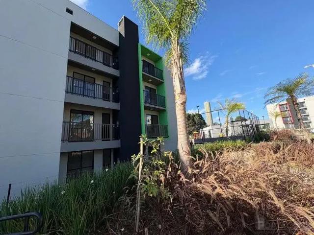 Apartamento aluguel em Região Geográfica Imediata de Ponta Grossa, Ponta Grossa