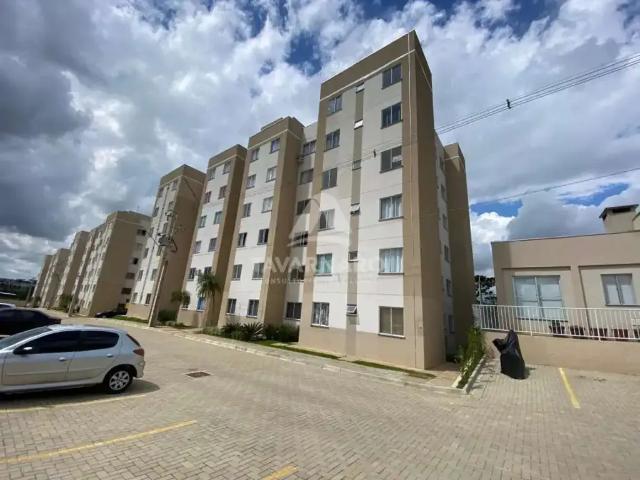 Apartamento aluguel em Região Geográfica Imediata de Ponta Grossa, Ponta Grossa