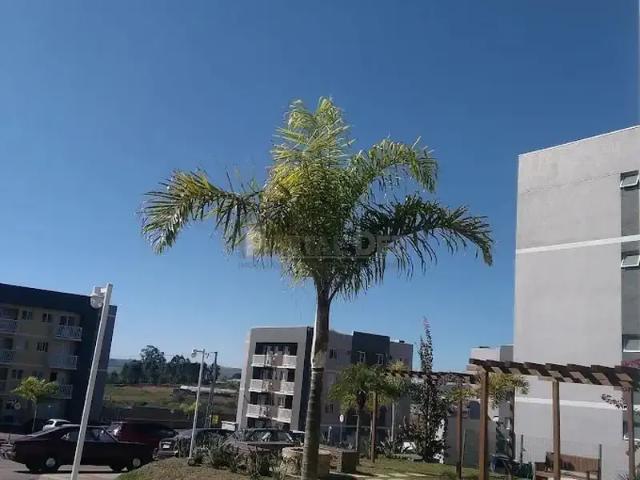 Apartamento aluguel em Região Geográfica Imediata de Ponta Grossa, Ponta Grossa