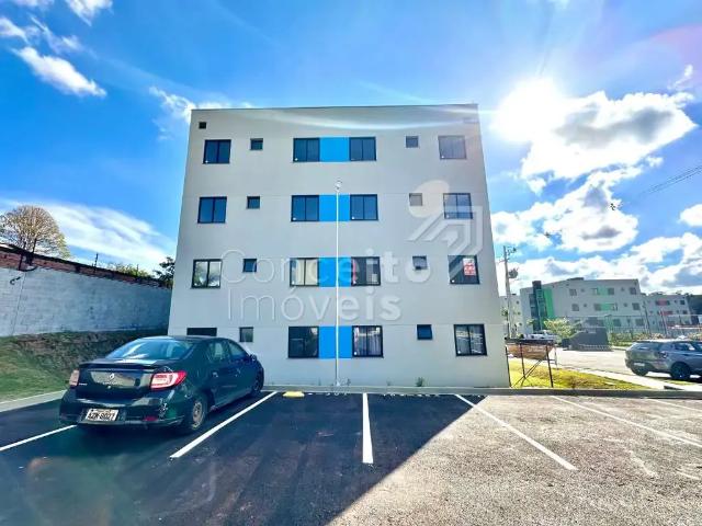Apartamento aluguel em Região Geográfica Imediata de Ponta Grossa, Ponta Grossa