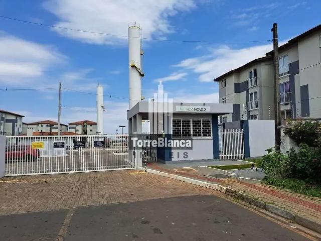Apartamento aluguel em Região Geográfica Imediata de Ponta Grossa, Ponta Grossa