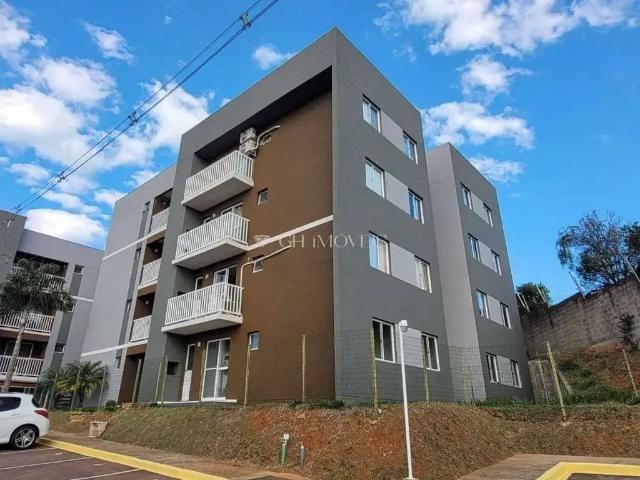 Apartamento aluguel em Região Geográfica Imediata de Ponta Grossa, Ponta Grossa