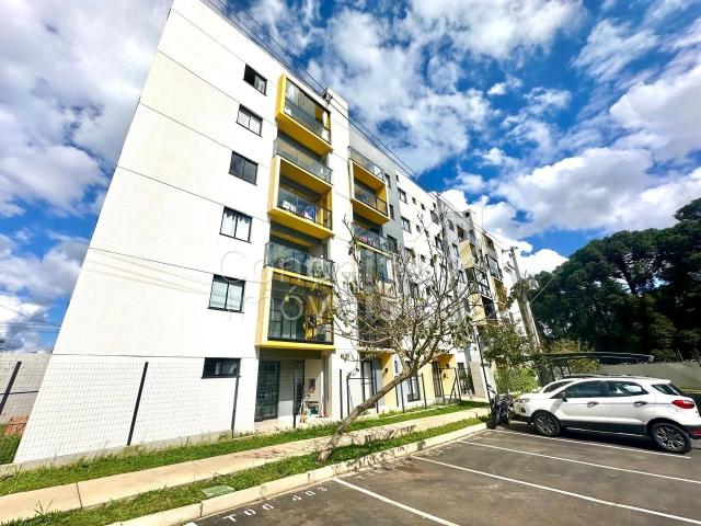 Apartamento aluguel em Ponta Grossa, Região Geográfica Intermediária de Ponta Grossa
