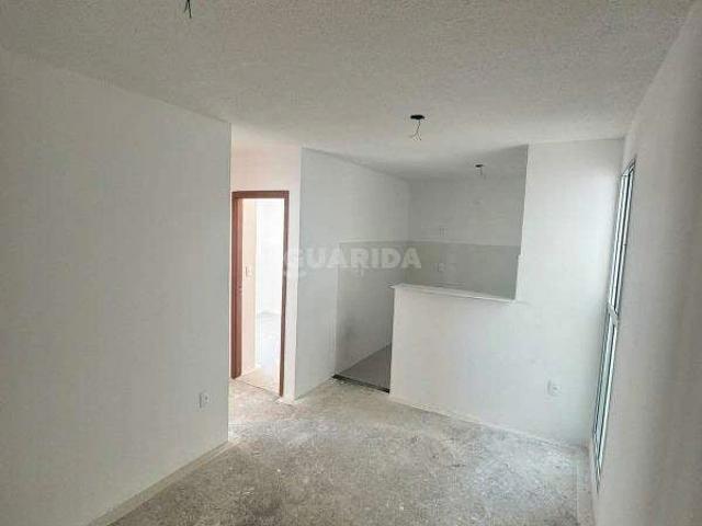 Apartamento aluguel em Parque Santa Fé, Porto Alegre