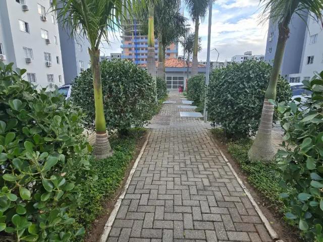 Apartamento aluguel em Região Geográfica Imediata de Itajaí, Porto Belo