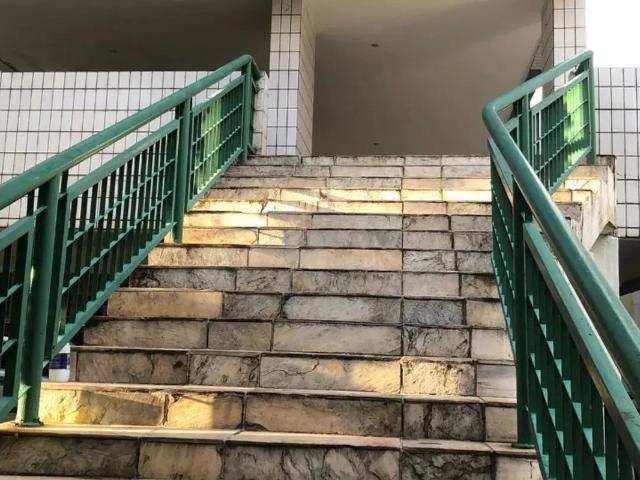 Apartamento aluguel em Recife