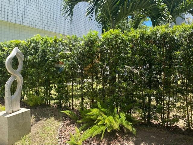 Apartamento aluguel em Recife