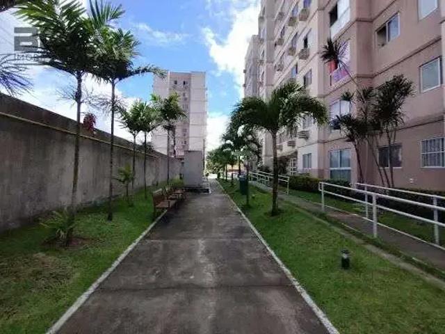 Apartamento aluguel em Região Geográfica Imediata do Recife, Região Metropolitana do Recife