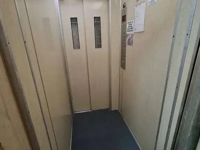 Apartamento aluguel em Jardim Itacolomy, Ribeirão Pires