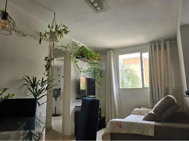 Apartamento aluguel em Região Imediata de Ribeirão Preto, Região Metropolitana de Ribeirão Preto