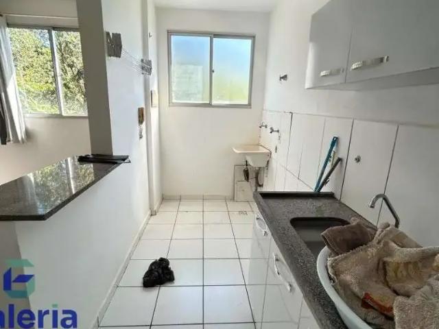 Apartamento aluguel em Região Imediata de Ribeirão Preto, Região Metropolitana de Ribeirão Preto