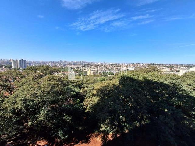 Apartamento aluguel em Ribeirão Preto