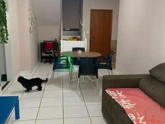 Apartamento aluguel em Região Imediata de Ribeirão Preto, Região Metropolitana de Ribeirão Preto