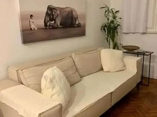 Apartamento aluguel em Região Geográfica Imediata do Rio de Janeiro, Região Metropolitana do Rio de Janeiro