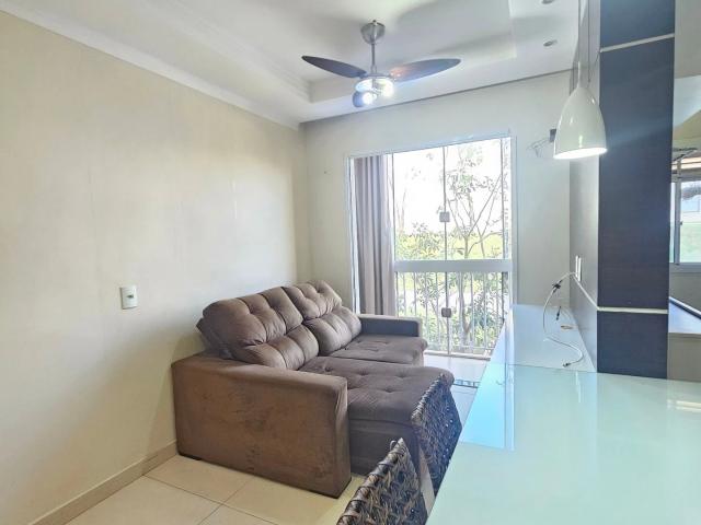 Apartamento aluguel em São José do Rio Preto