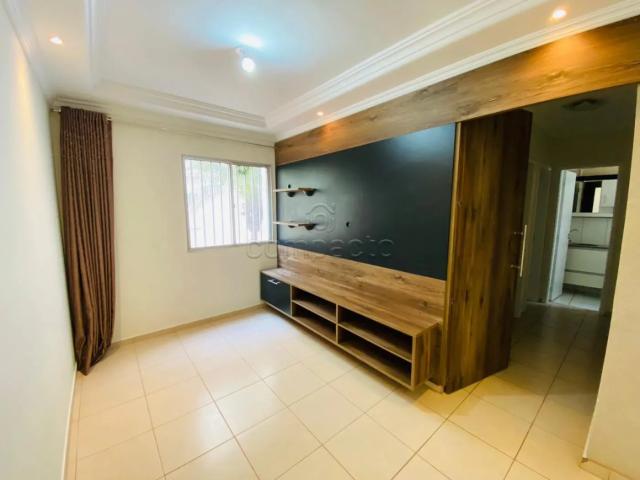 Apartamento aluguel em São José do Rio Preto
