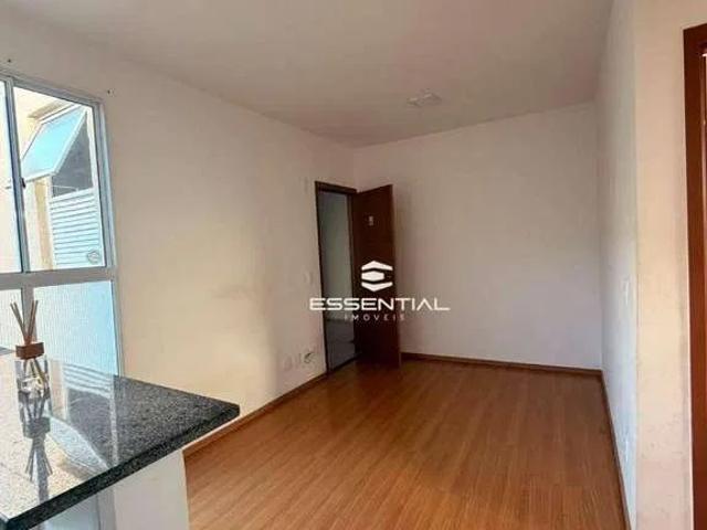 Apartamento aluguel em São José do Rio Preto