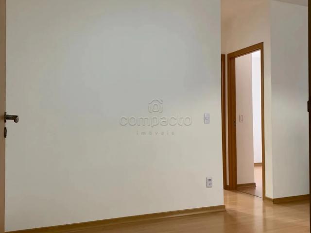 Apartamento aluguel em São José do Rio Preto