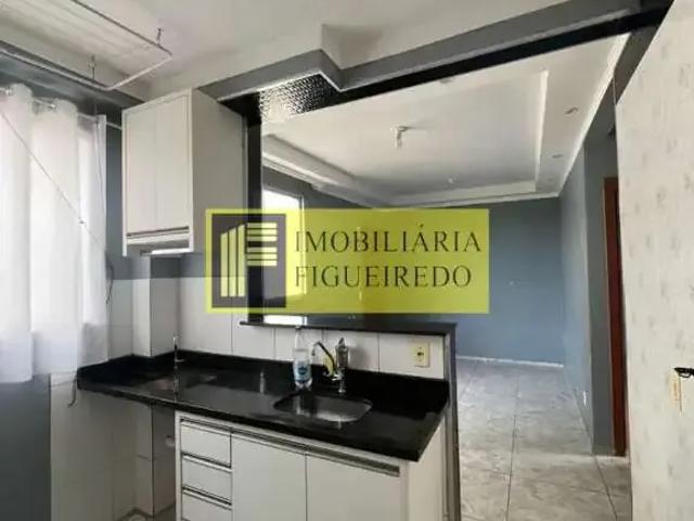 Apartamento aluguel em Região Imediata de São José do Rio Preto, Região Metropolitana de São José do Rio Preto