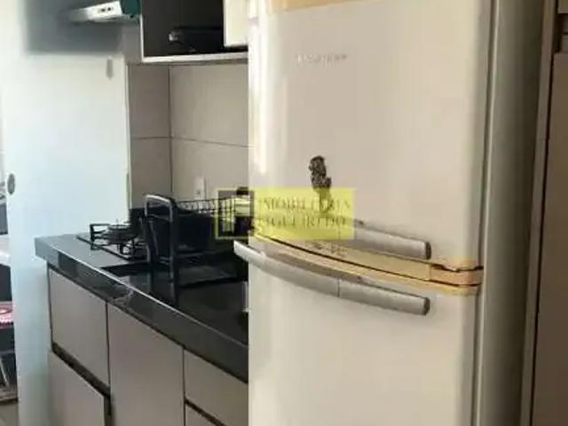 Apartamento aluguel em Região Imediata de São José do Rio Preto, Região Metropolitana de São José do Rio Preto