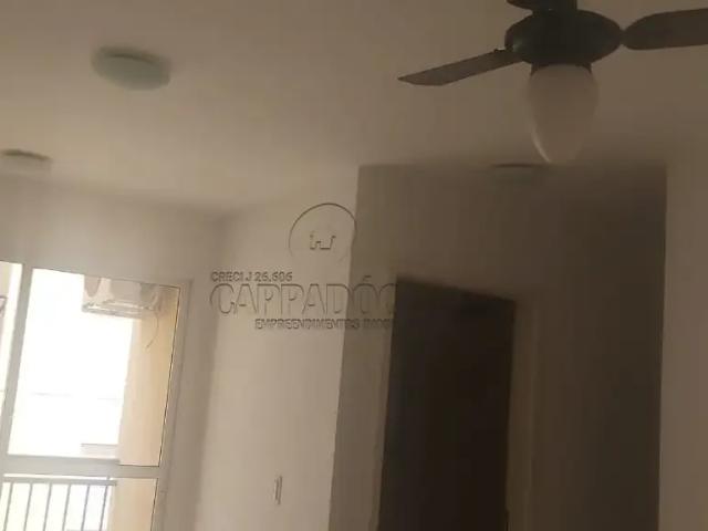Apartamento aluguel em São José do Rio Preto