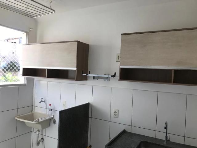 Apartamento aluguel em São José do Rio Preto, Região Geográfica Intermediária de São José do Rio Preto