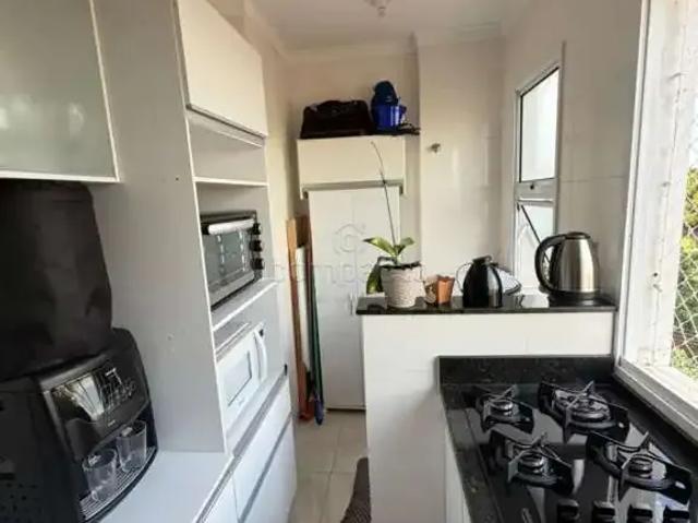 Apartamento aluguel em Região Imediata de São José do Rio Preto, Região Metropolitana de São José do Rio Preto