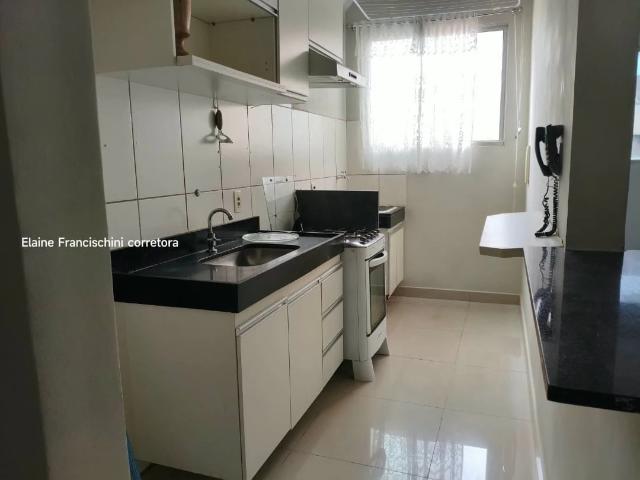 Apartamento aluguel em São José do Rio Preto