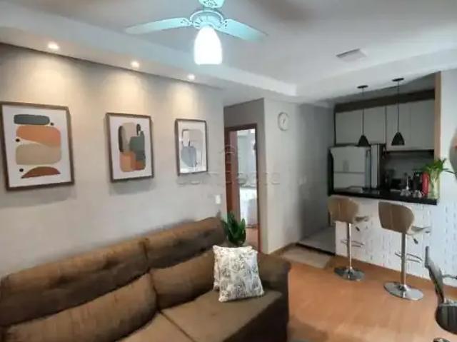 Apartamento aluguel em Região Imediata de São José do Rio Preto, Região Metropolitana de São José do Rio Preto