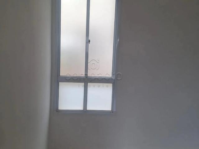 Apartamento aluguel em Parque das Amoras II, São José do Rio Preto