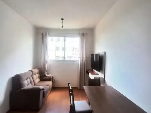 Apartamento aluguel em Região Imediata de São José do Rio Preto, Região Metropolitana de São José do Rio Preto