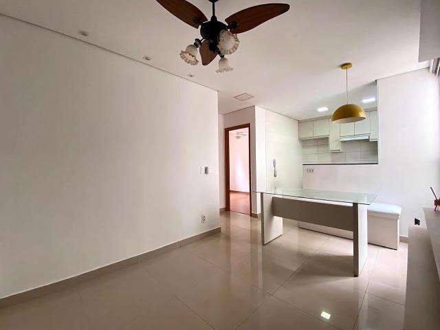 Apartamento aluguel em São José do Rio Preto