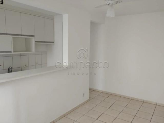 Apartamento aluguel em São José do Rio Preto