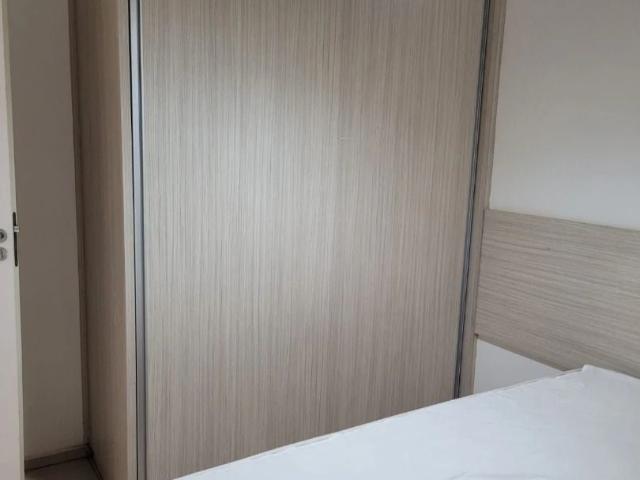 Apartamento aluguel em São José do Rio Preto, Região Geográfica Intermediária de São José do Rio Preto