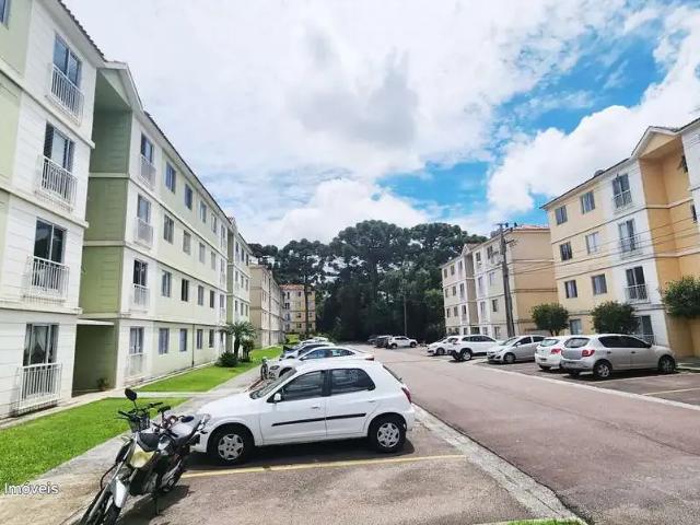 Apartamento aluguel em Região Geográfica Imediata de Curitiba, Região Metropolitana de Curitiba