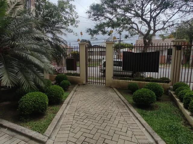 Apartamento aluguel em Centro, São José dos Pinhais
