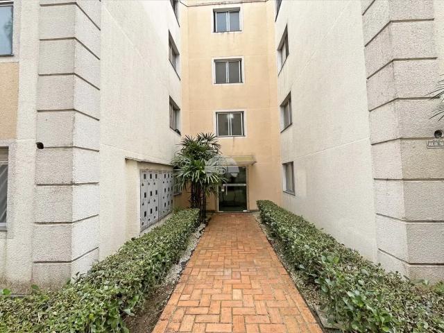 Apartamento aluguel em Região Geográfica Imediata de Curitiba, Região Metropolitana de Curitiba